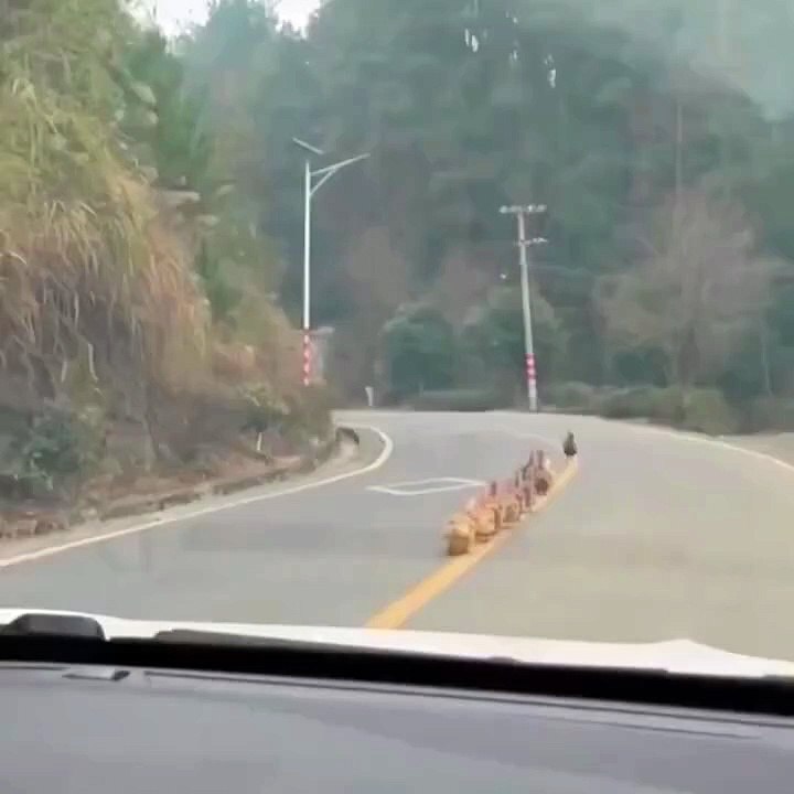 They're on a mission…