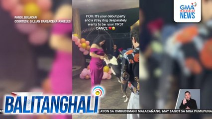 Pakikipagsayaw ng isang asong ligaw sa isang debutantm nagpaantig sa netizens | Balitanghali