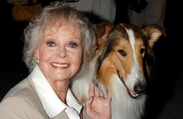 『名犬ラッシー』『宇宙家族ロビンソン』で親しまれたジューン・ロックハートが死去、享年100歳