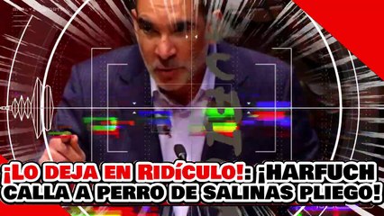 🔥🚨¡LO DEJA EN RIDÍCULO! ¡HARFUCH CALLA a PERRO de SALINAS PLIEGO y DEFIENDE el LEGADO de AMLO!