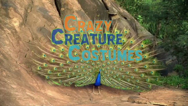 Documental - Disfraces de criaturas locas - 🤯 Disfraces ABSURDOS: Las 10 CRIATURAS Más BIZARRAS que Verás en tu Vida (Creatividad Extrema)