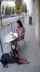 This content for evryone