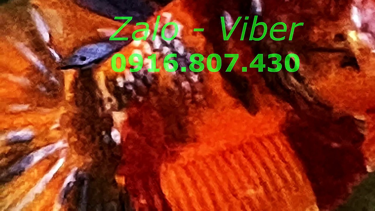 Mux251012102632