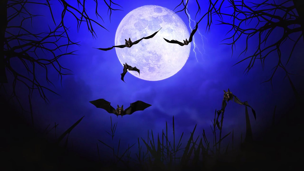 Halloween 2025 | Spooky Bats Flying in the Dark | Halloween Background Video for 30 Mins