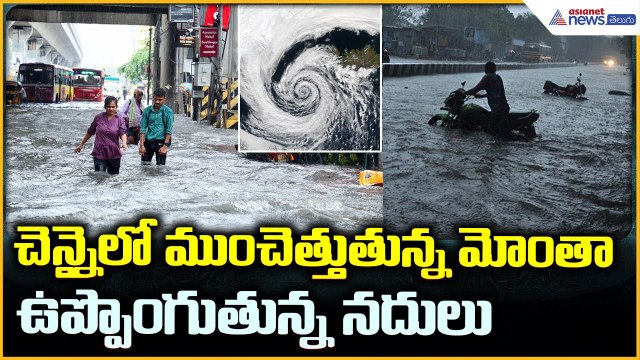 Cyclone Montha: చెన్నైలో ముంచెత్తుతున్న మోంతా ఉప్పొంగుతున్న నదులు | Asianet News Telugu