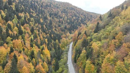 Giresun'un sonbahar senfonisi: Turkuazın kızılla muhteşem buluşması