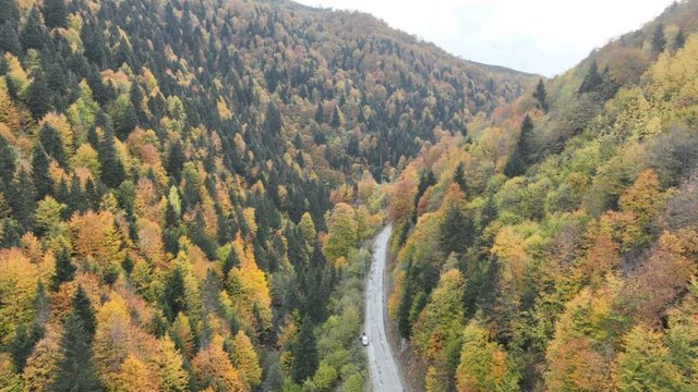 Giresun'un sonbahar senfonisi: Turkuazın kızılla muhteşem buluşması