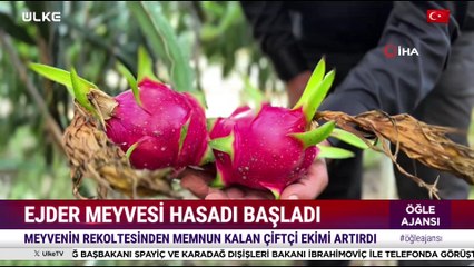 Öğle Ajansı – 27 Ekim 2025