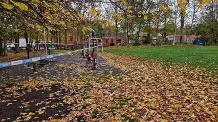 The scene around a Wolverhampton park following disorder