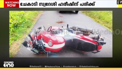 Elephant  | വയനാട് ചേകാടിയിൽ ബൈക്ക് യാത്രക്കാരന് നേരെ കാട്ടാനയുടെ ആക്രമണം