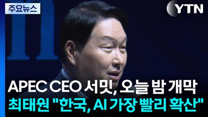 APEC CEO 서밋, 오늘 밤 개막...최태원 "한국, AI 가장 빨리 확산할 것" / YTN