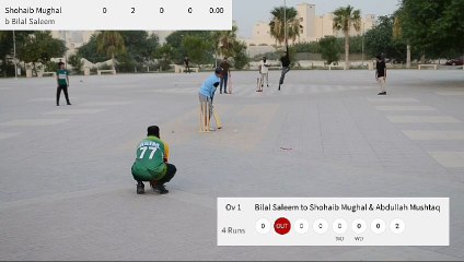 A1 Friendly Tape Tennis Cricket Tournament