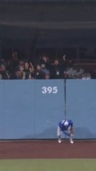 Freddie Freeman Delivers Walk-Off Solo Homer to Win in California Night 🌙