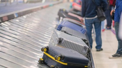 Flying Soon? Avoid These Common Luggage Colors, Airline Advises