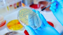 Study Points to Two Bacteria as Possible Causes for Multiple Sclerosis
