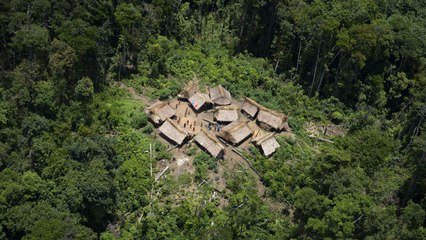 Isolated Amazon Tribe Spotted Near Village as Logging Encroaches, Experts Raise Alarm