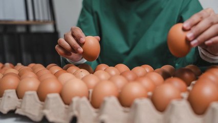 Salmonella Outbreak Across Multiple States Tied to Egg Recall, CDC Reports