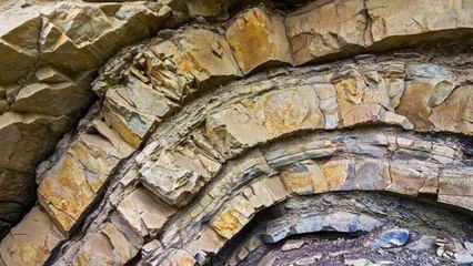 Scientists Uncover Mysterious Tunnels Belonging to an Unknown Ancient Lifeform