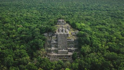 Mexico, Guatemala, and Belize Unite to Protect Mayan Jungle With New Tri-National Reserve