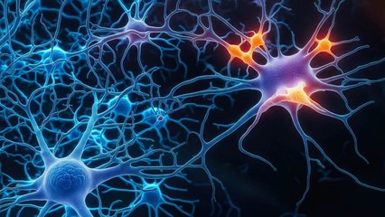 Brain Iron Levels Could Shed Light on the Connection Between ADHD and Dementia