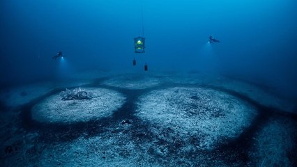 Eerie Perfect Circles Discovered on Ocean Floor Leave Scientists Baffled