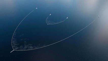 Dutch Engineers Deploy 2.2km Device to Clean Great Pacific Garbage Patch