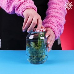 Clever food hacks you wish you knew sooner!