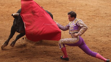 Mexico City Bans Bullfighting, Ending a 500-Year Tradition Amidst Widespread Protests