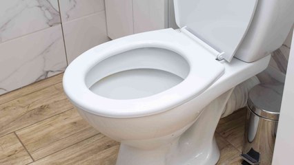 5 Creatures That Can Crawl In Through Your Toilet and How to Stop Them