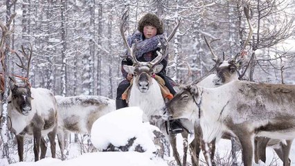 Discover the Dukha: Mongolia’s Reindeer-Riding Nomads Living in Seclusion