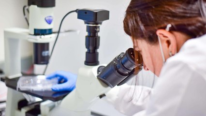 Breakthrough Discovery Paves the Way for Treating One of the World’s Most Lethal Cancers