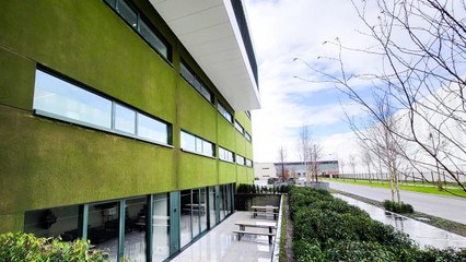 Cooler, Cleaner Cities? Meet the Concrete That Grows Moss