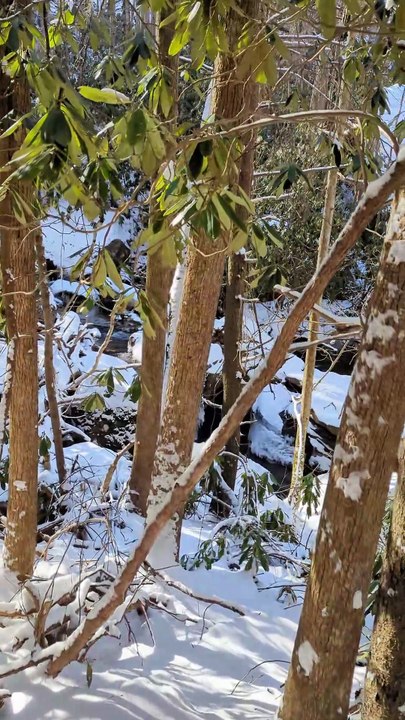 winter hike
