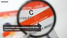 Licencia para indocumentados en Nevada: requisitos y costos