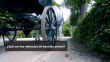 ¿Qué son los vehículos de tracción animal?