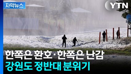 [자막뉴스] 가을인데 뜻밖의 상황...단풍 대신 '하얀 눈보라' / YTN