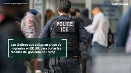 Las tácticas que utiliza un grupo de migrantes en EE.UU. para burlar las redadas del gobierno de Trump