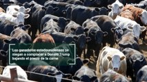 Los ganaderos estadounidenses se niegan a complacer a Donald Trump bajando el precio de la carne