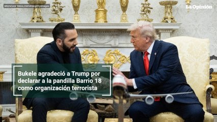 Bukele agradeció a Trump por declarar a la pandilla Barrio 18 como organización terrorista