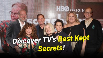 8 Hidden Gem TV Comedies You're Missing Out On