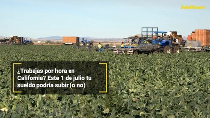 ¿Trabajas por hora en California? Este 1 de julio tu sueldo podría subir (o no)