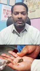 तंबाकू और सिगरेट को छुड़ाने का देसी तरीका ।