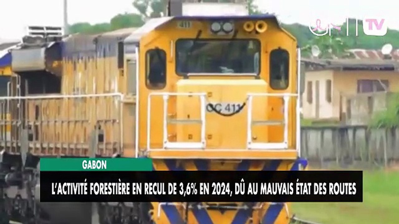 [#Reportage] Gabon : l’activité forestière en recul de 3,6% en 2024, dû au mauvais état des routes