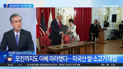 대통령실, 트럼프 방한 선물로 ‘경주 금관’ 모형 검토