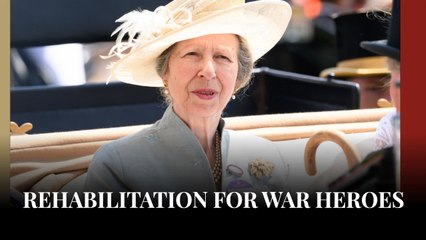 Princess Anne makes secret trip to war-torn nation