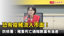 恐有疫豬流入市面！防檢署：台中非洲豬瘟案場豬隻死亡通報數量有落差