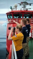 Rescue team saves humpback whale injured by barnacles #shortsfeed #shorts  #trending  #viralshorts