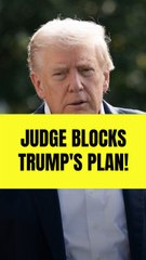 Trump-appointed judge rules against the president