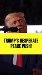 Trump Seeks Ukraine Peace Deal Amid Epstein Controversy