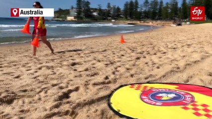 Australia Fends Off Shark Bites With New Tech And Old